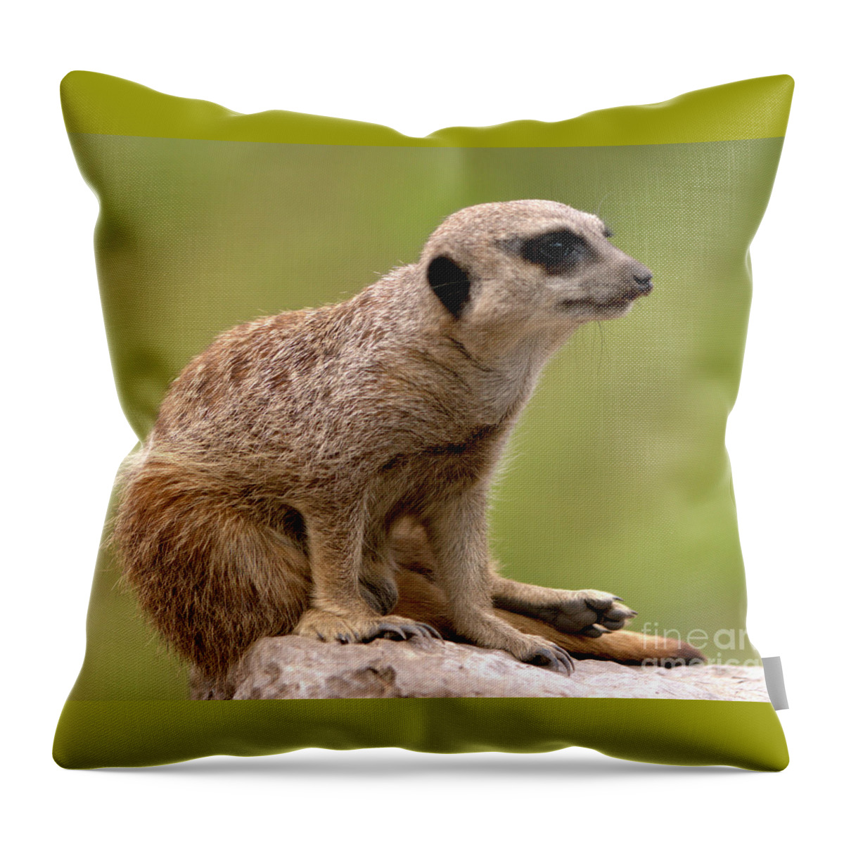 Small Throw Pillow featuring the photograph The Sentinel by Stephen Melia