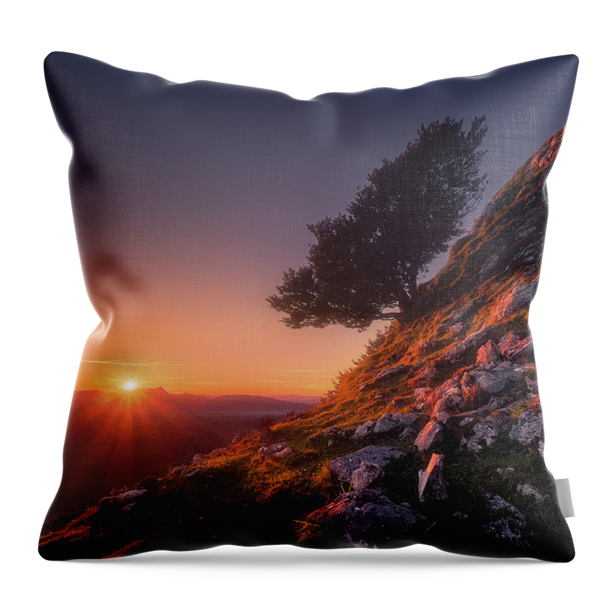 Lonely Throw Pillow featuring the photograph The sentinel by Mikel Martinez de Osaba