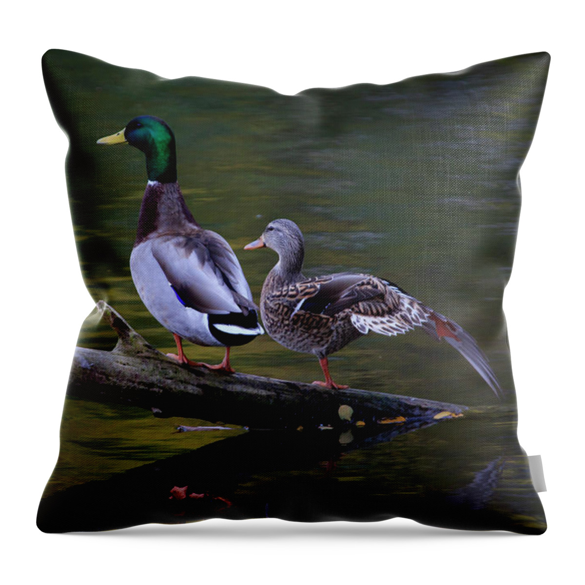 Gary Hall Throw Pillow featuring the photograph The Seventh Inning Stretch by Gary Hall