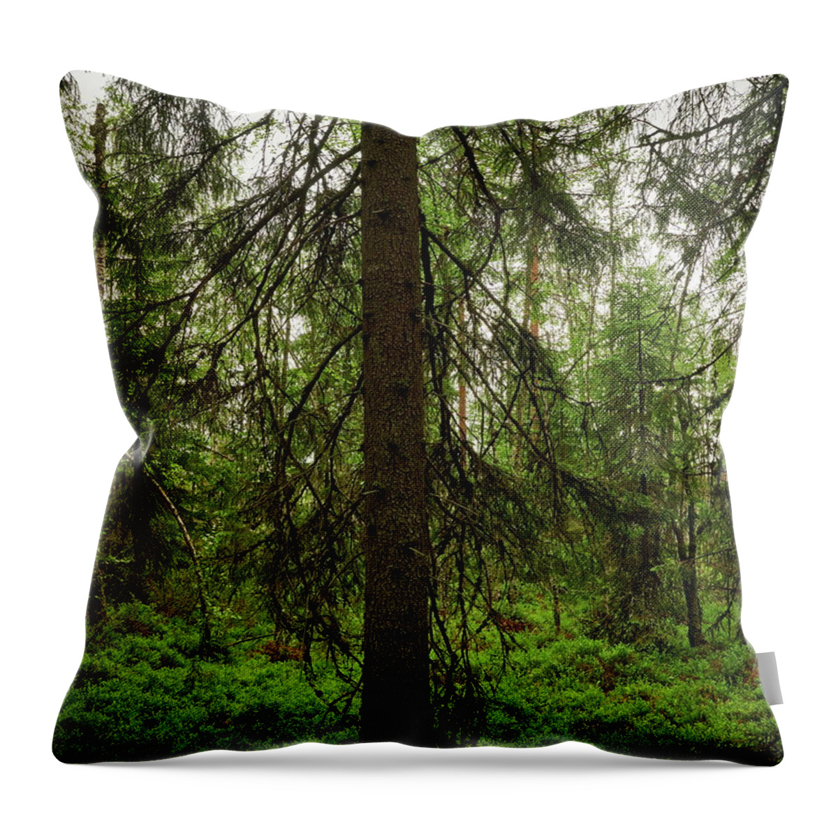 Finland Throw Pillow featuring the photograph The Shadow of the Spruce by Jouko Lehto
