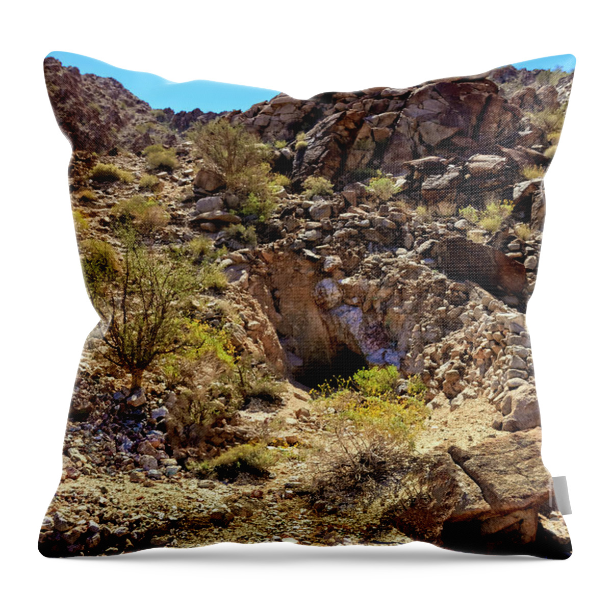 Shafted Mine Throw Pillow featuring the photograph The Shafted Mine by Robert Bales