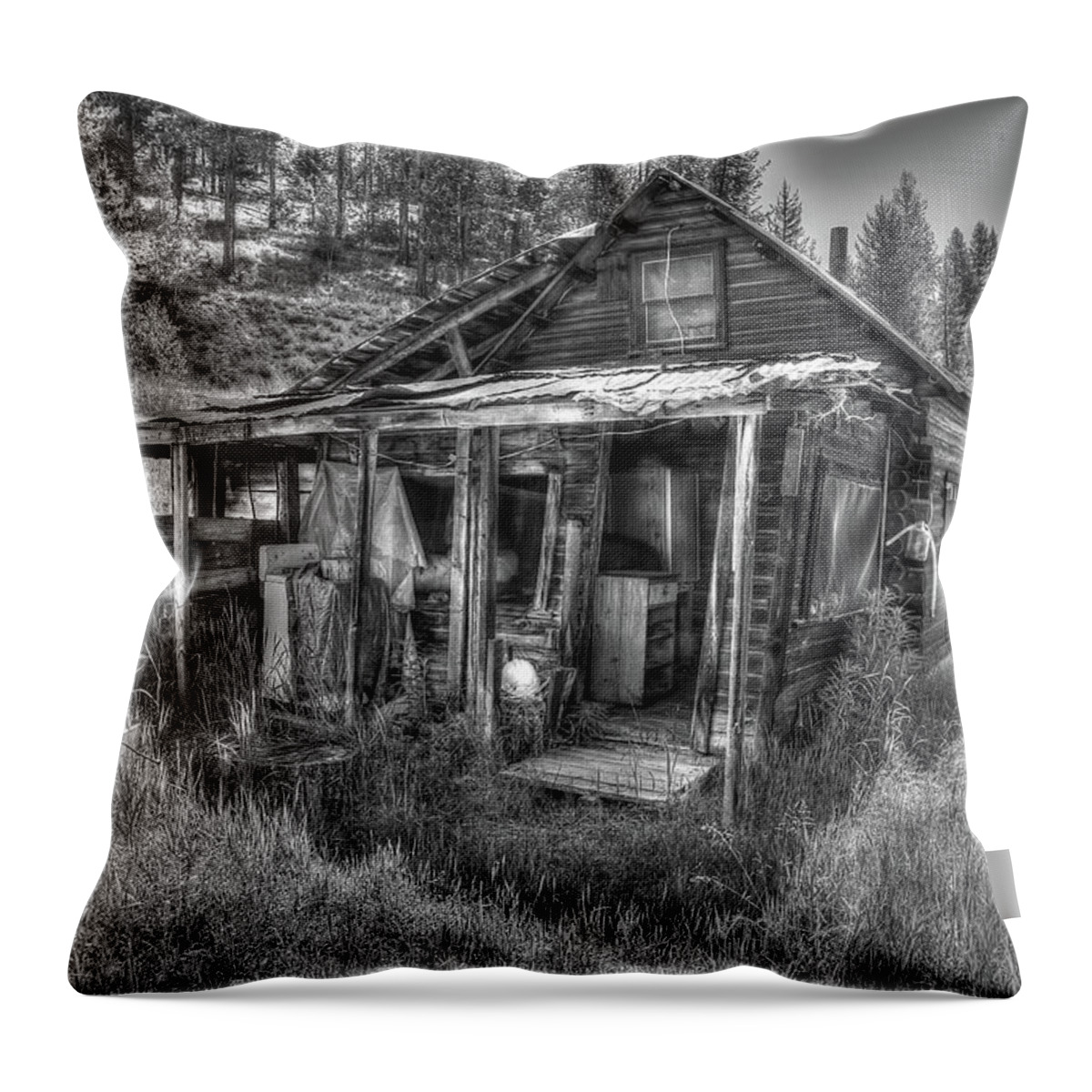 Farm Throw Pillow featuring the photograph The Shanty Home by Richard J Cassato