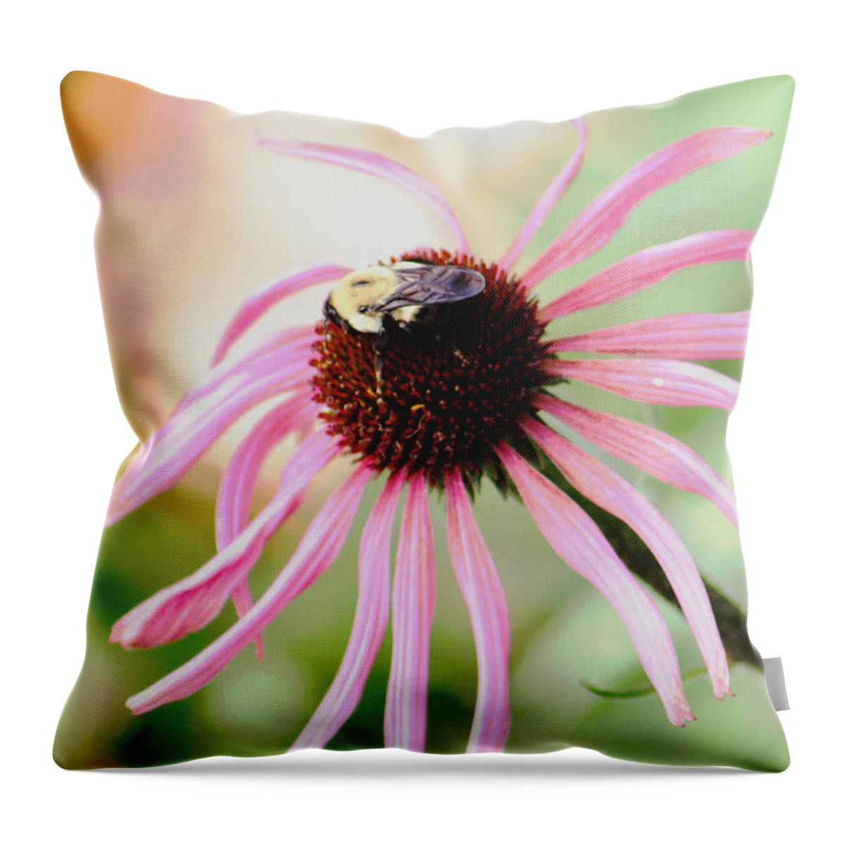 Flower Throw Pillow featuring the photograph The Sharing Game by Deborah Crew-Johnson