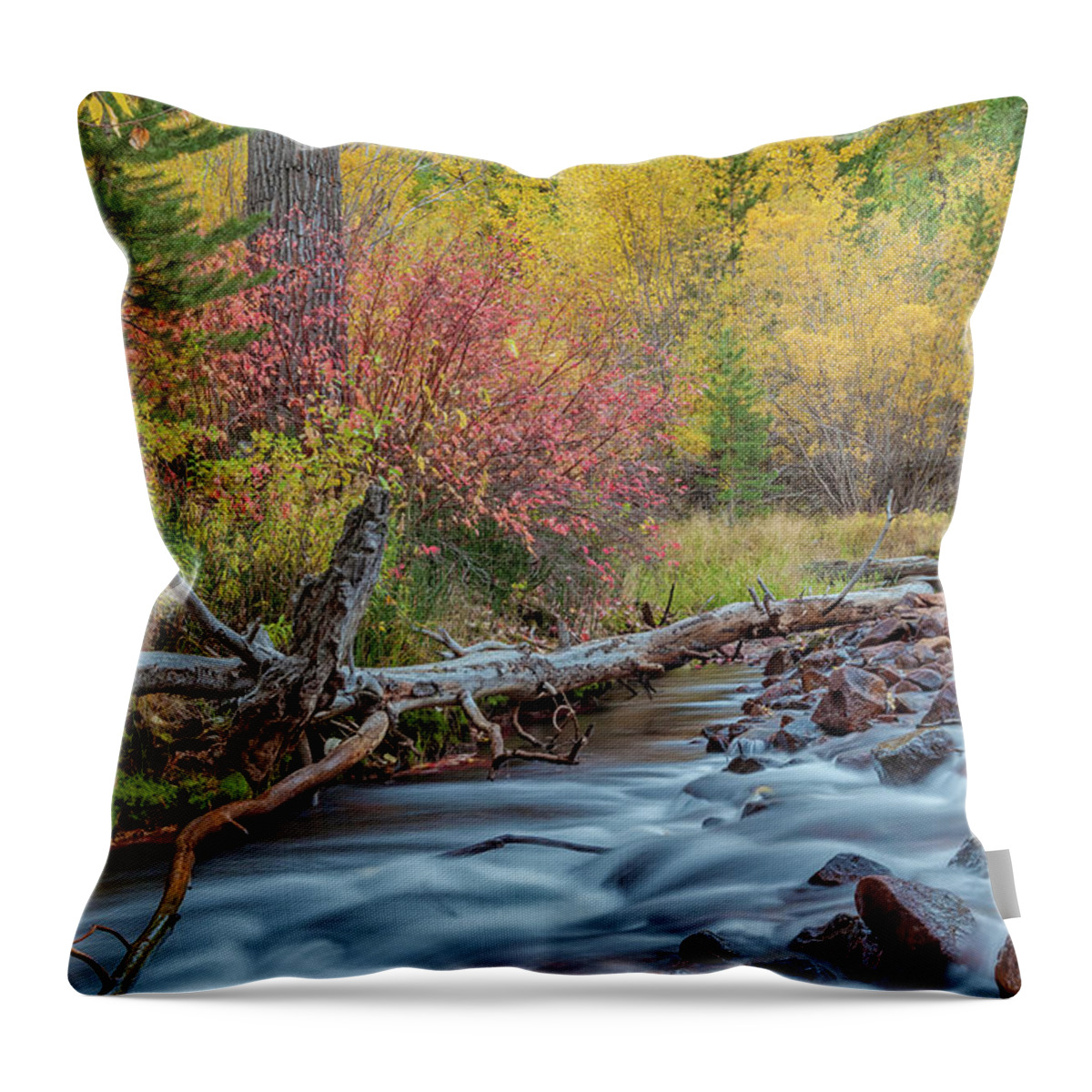 Fall Throw Pillow featuring the photograph The Sierra Autumn by Jonathan Nguyen