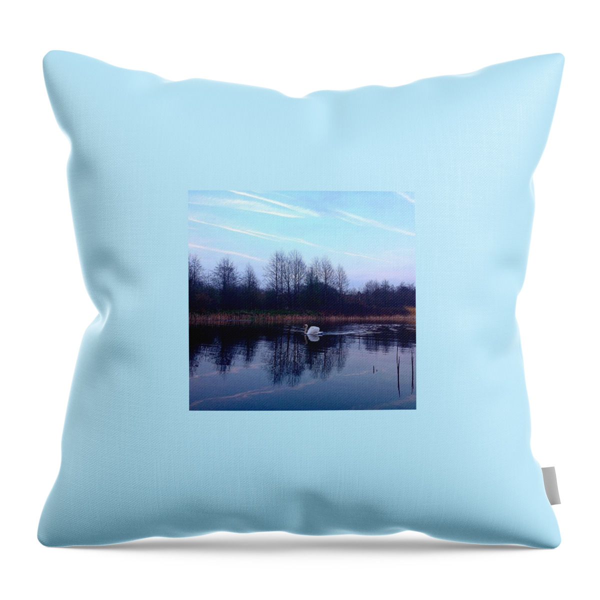 Beautiful Throw Pillow featuring the photograph Reflection and Swan by Grace Smith