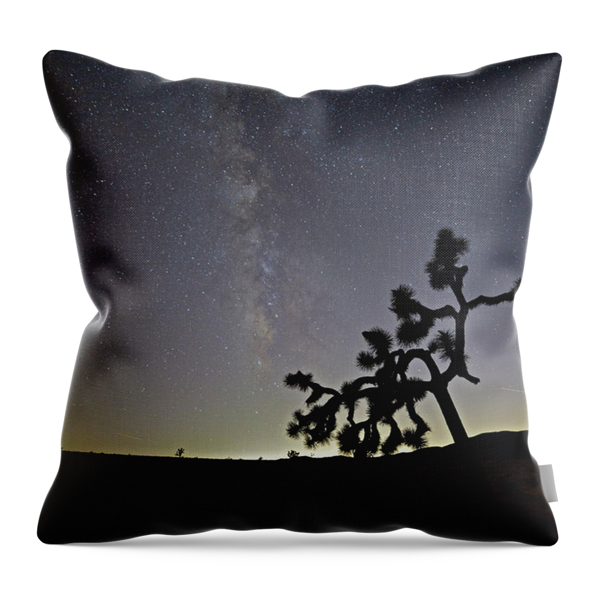 Joshua Tree National Park Throw Pillow featuring the photograph The Small of It All by Don Mercer
