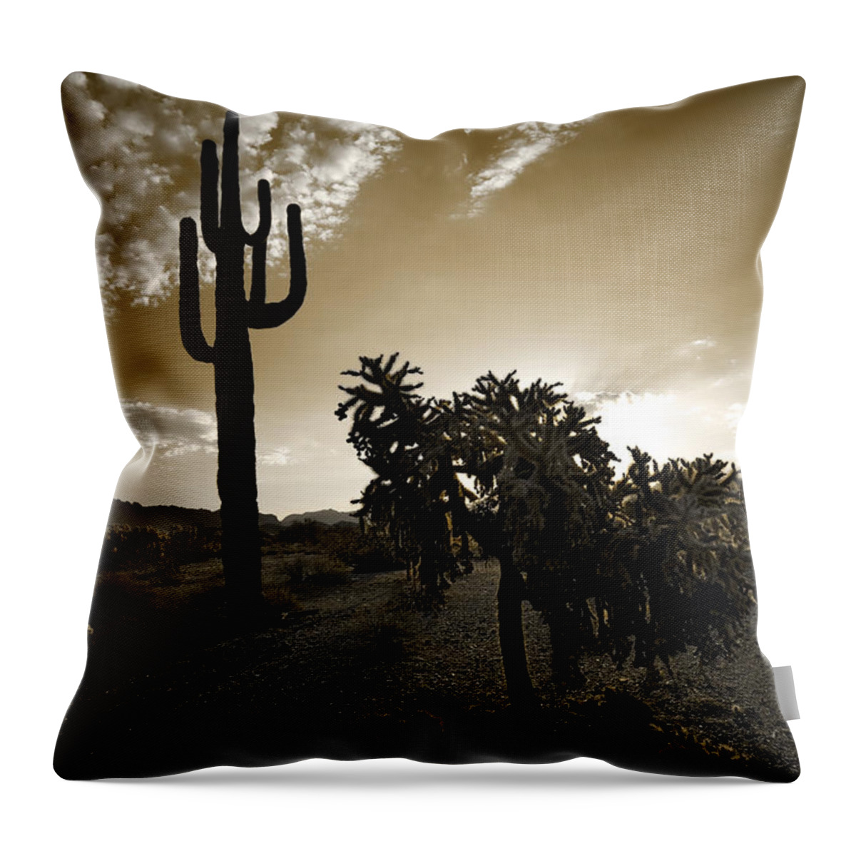 Sonoran Throw Pillow featuring the photograph The Sonoran in Sepia by Sue Cullumber