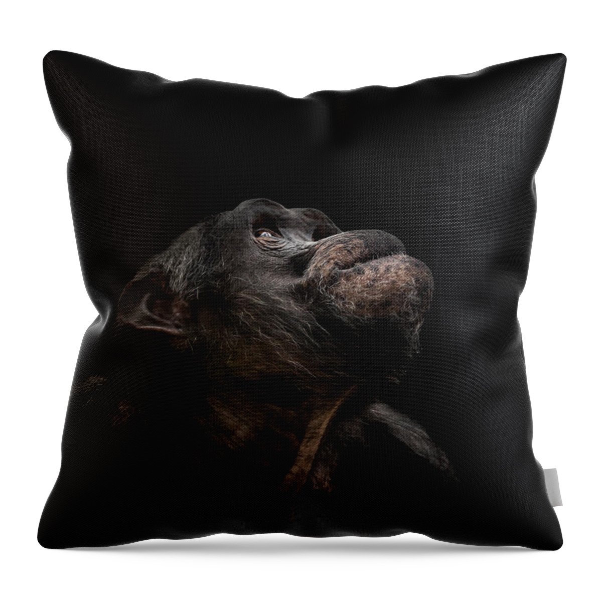 Chimpanzee Throw Pillow featuring the photograph The Stargazer by Paul Neville
