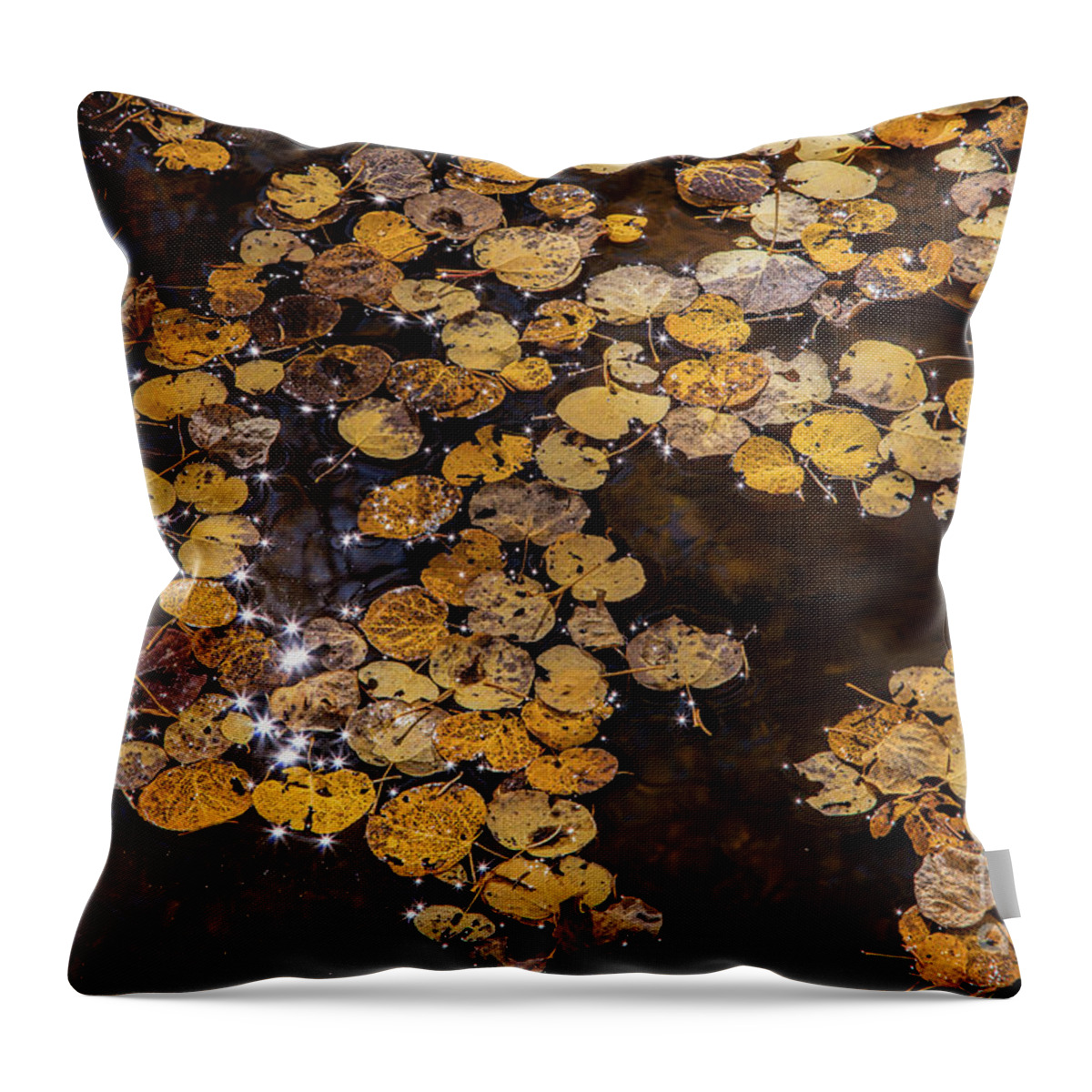 Autumn Colors Throw Pillow featuring the photograph The Stars of the Show by Jim Garrison