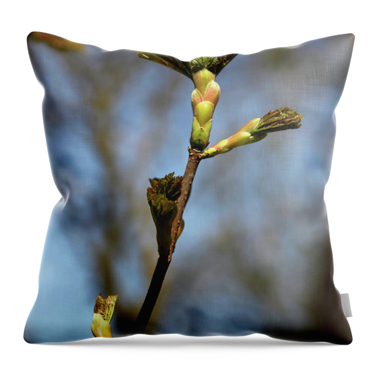 Bradford Throw Pillow featuring the photograph The Start Is Here by Jez C Self