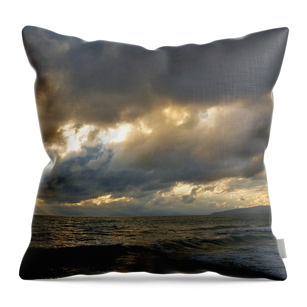 Storm Throw Pillow featuring the photograph The storm comes by Antonio Ballesteros