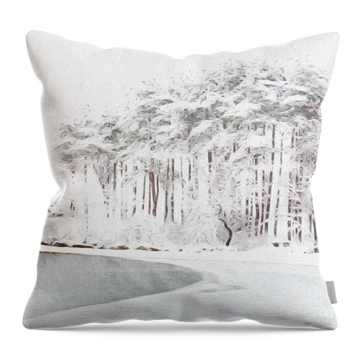 The Storm Is Over Throw Pillow featuring the photograph The Storm Is Over by Marcia Lee Jones