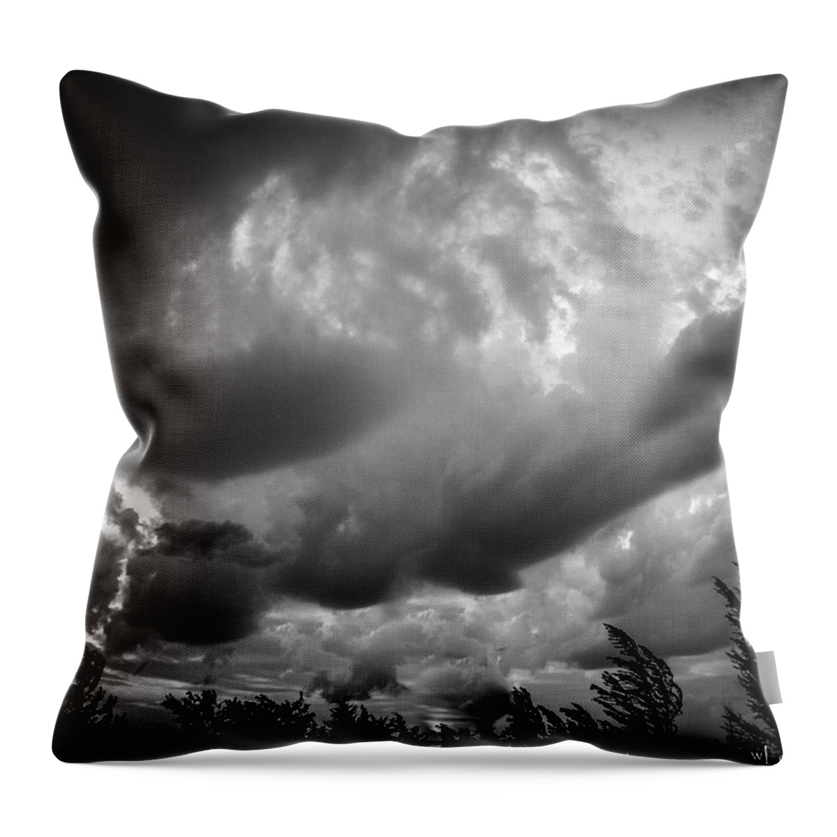 Storm Throw Pillow featuring the photograph The Storm by Wendy Carrington