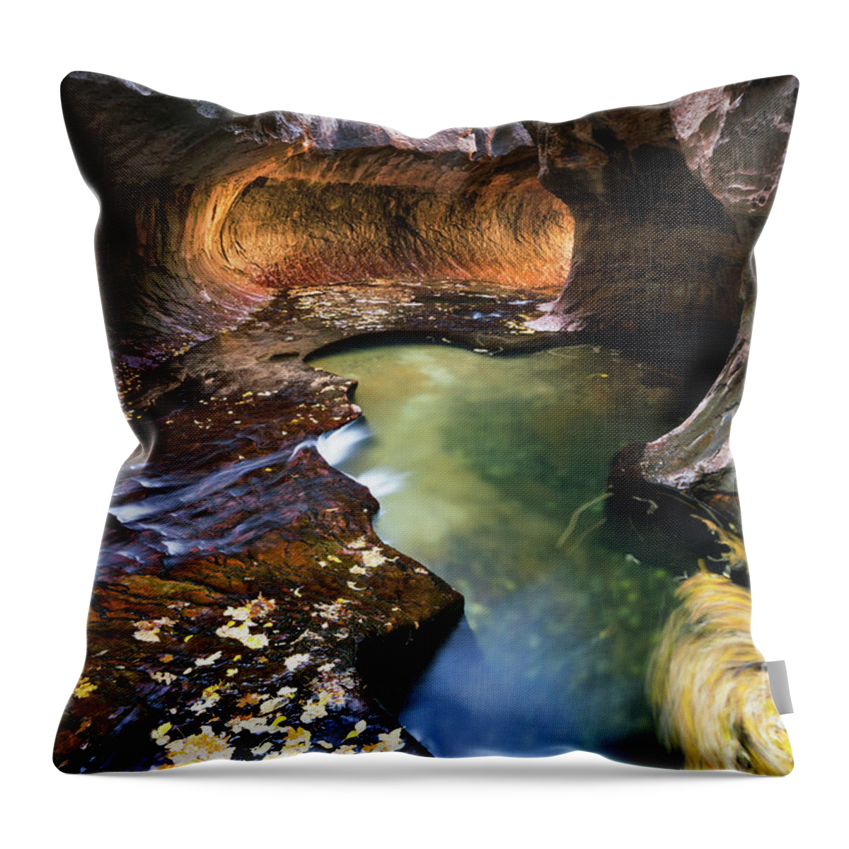 Landscape Throw Pillow featuring the photograph The Subway in Zion 2017-1 by Benedict Heekwan Yang