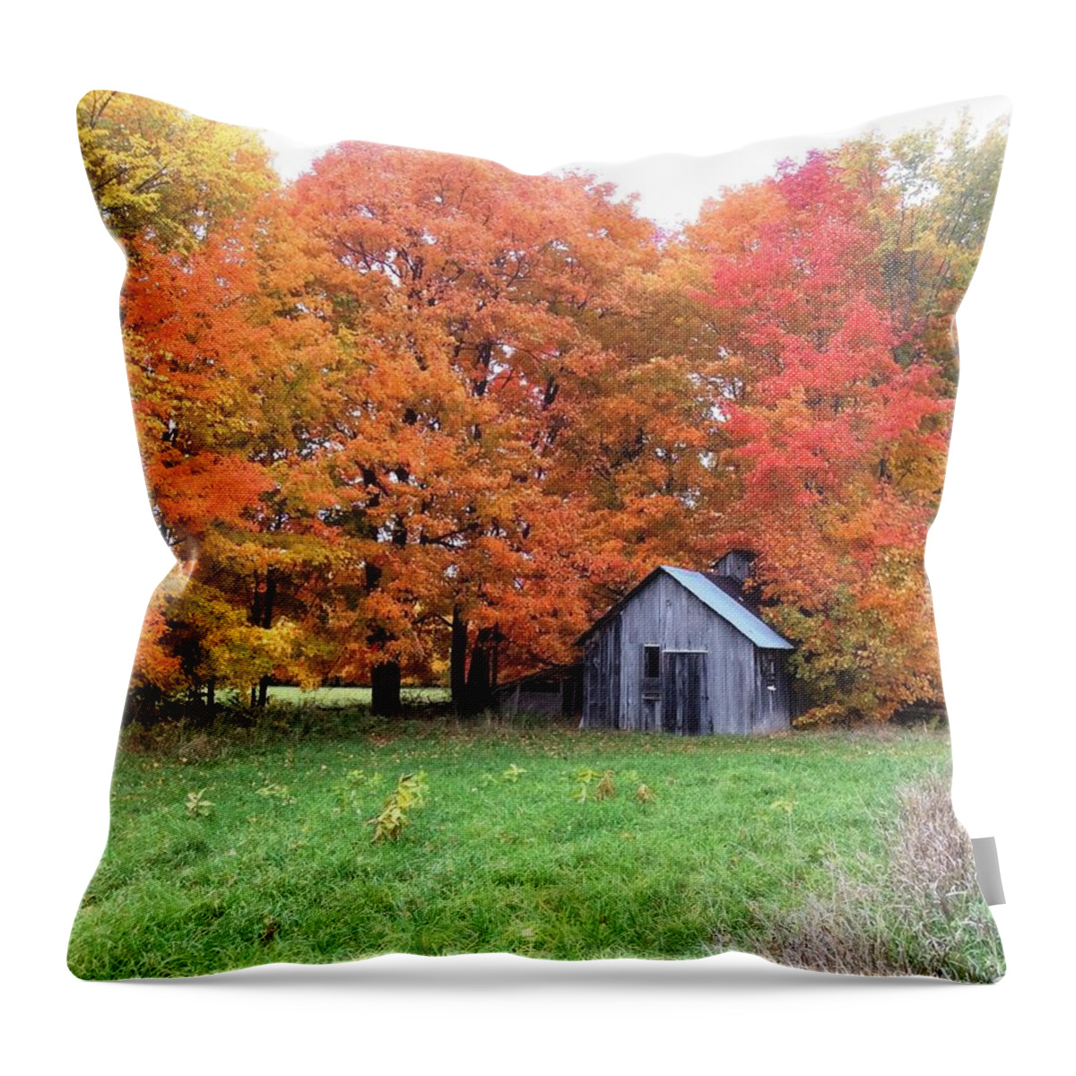Fall Throw Pillow featuring the photograph The Sugar Shack by Pat Purdy