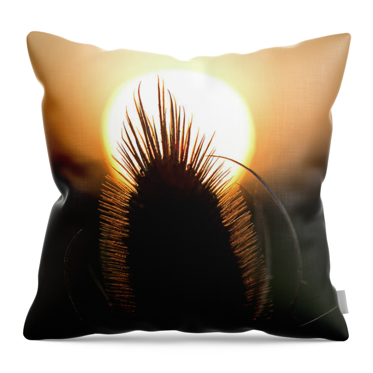Sunset Throw Pillow featuring the photograph The Sun Sets Upon Summer by Dale Kincaid