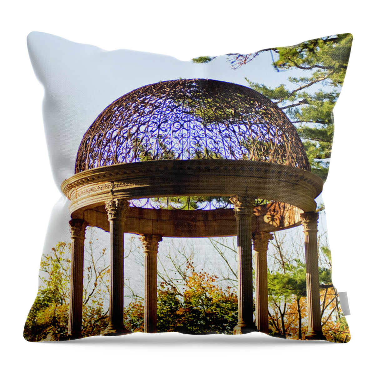 Dome Throw Pillow featuring the photograph The Sunny Dome by Jose Rojas