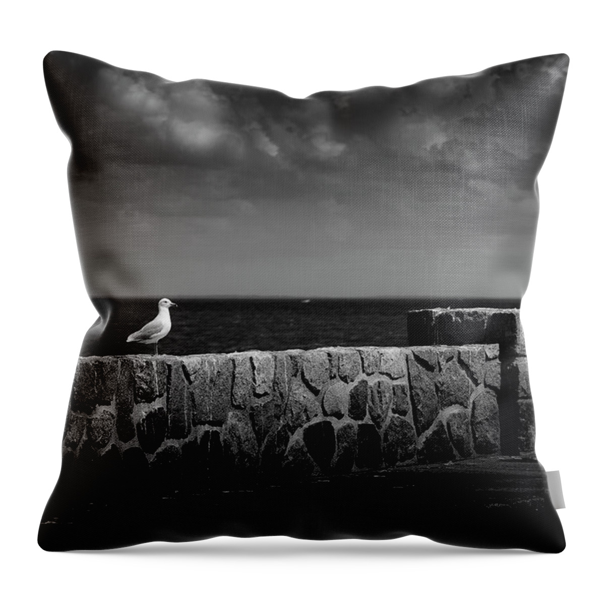 Blumwurks Throw Pillow featuring the photograph The Surveyor by Matthew Blum