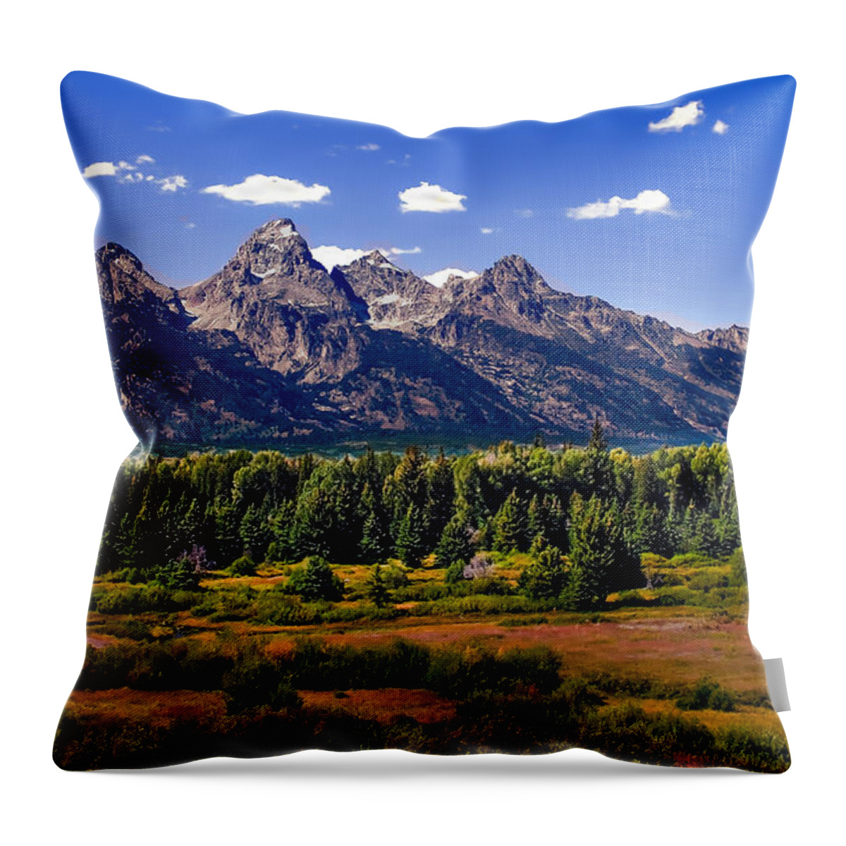 Forest Throw Pillow featuring the photograph The Tetons II by Robert Bales