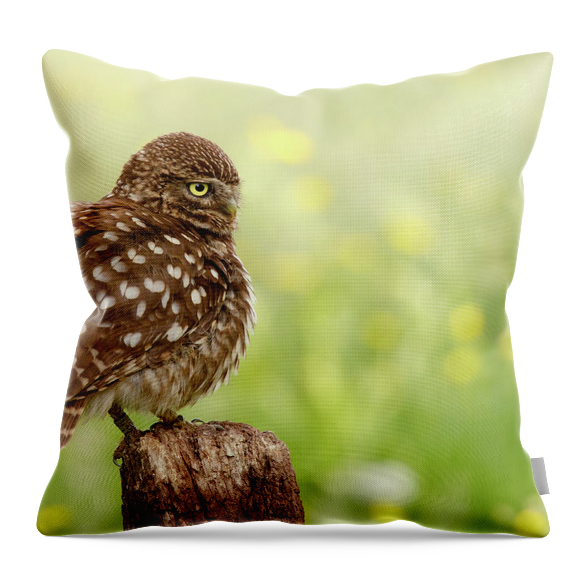Adult Throw Pillow featuring the photograph The Thinker - Little Owl in a Flower Bed by Roeselien Raimond