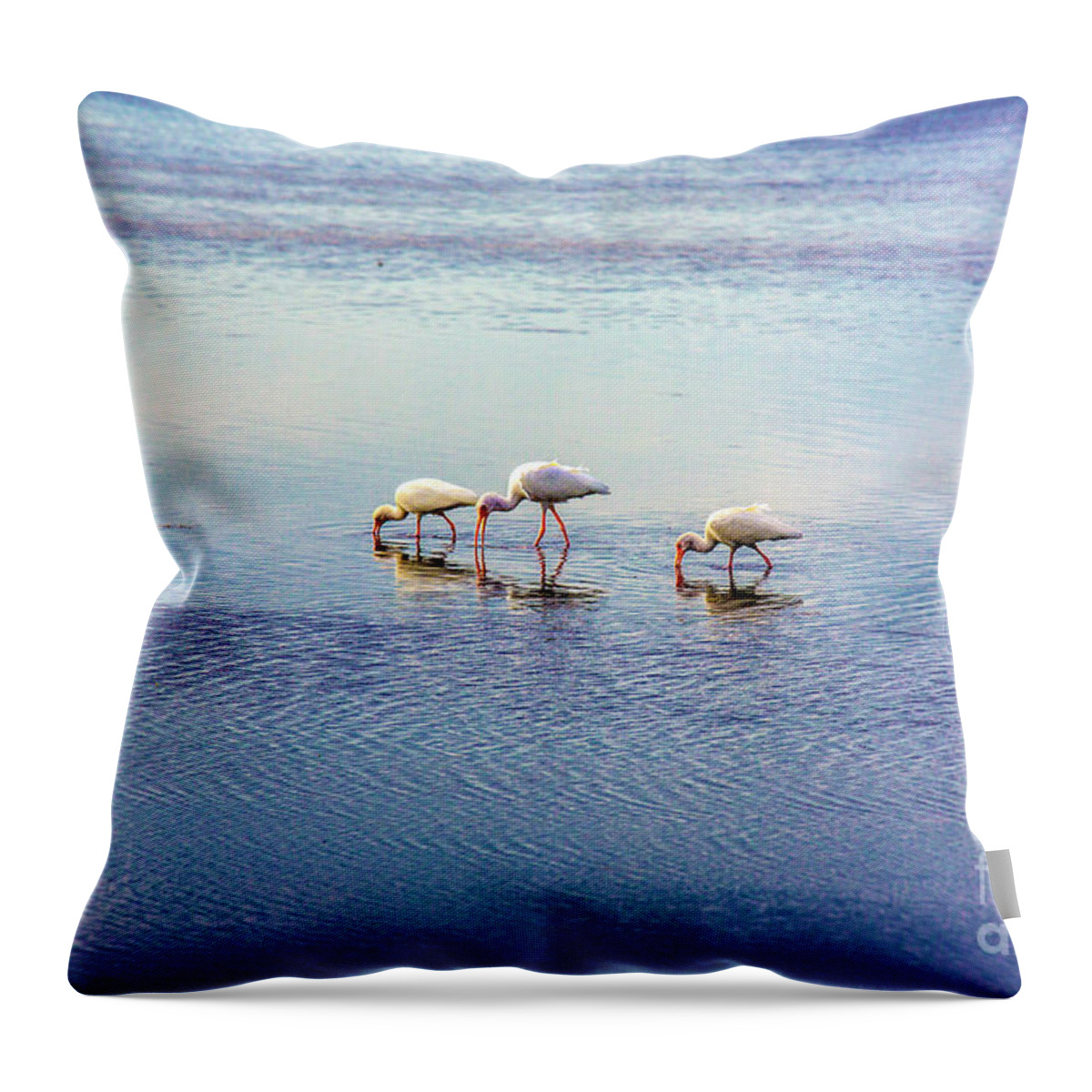 The Three Birds Throw Pillow featuring the photograph The Three Birds by Felix Lai