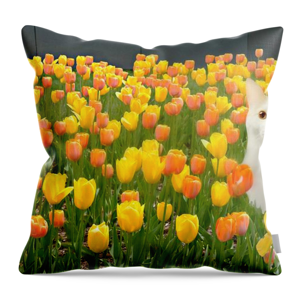 The Tulip Cat Throw Pillow featuring the photograph The Tulip Cat by Diana Angstadt