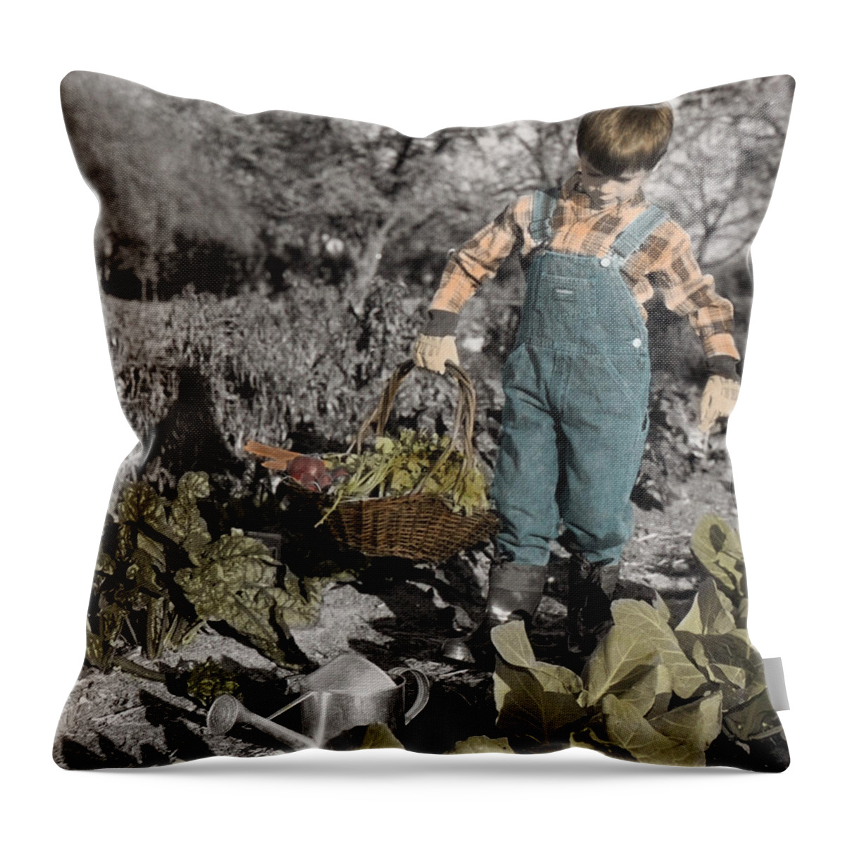 The Twelve Gifts Of Birth Throw Pillow featuring the photograph The Twelve Gifts of Birth - Talent 1 by Jill Reger