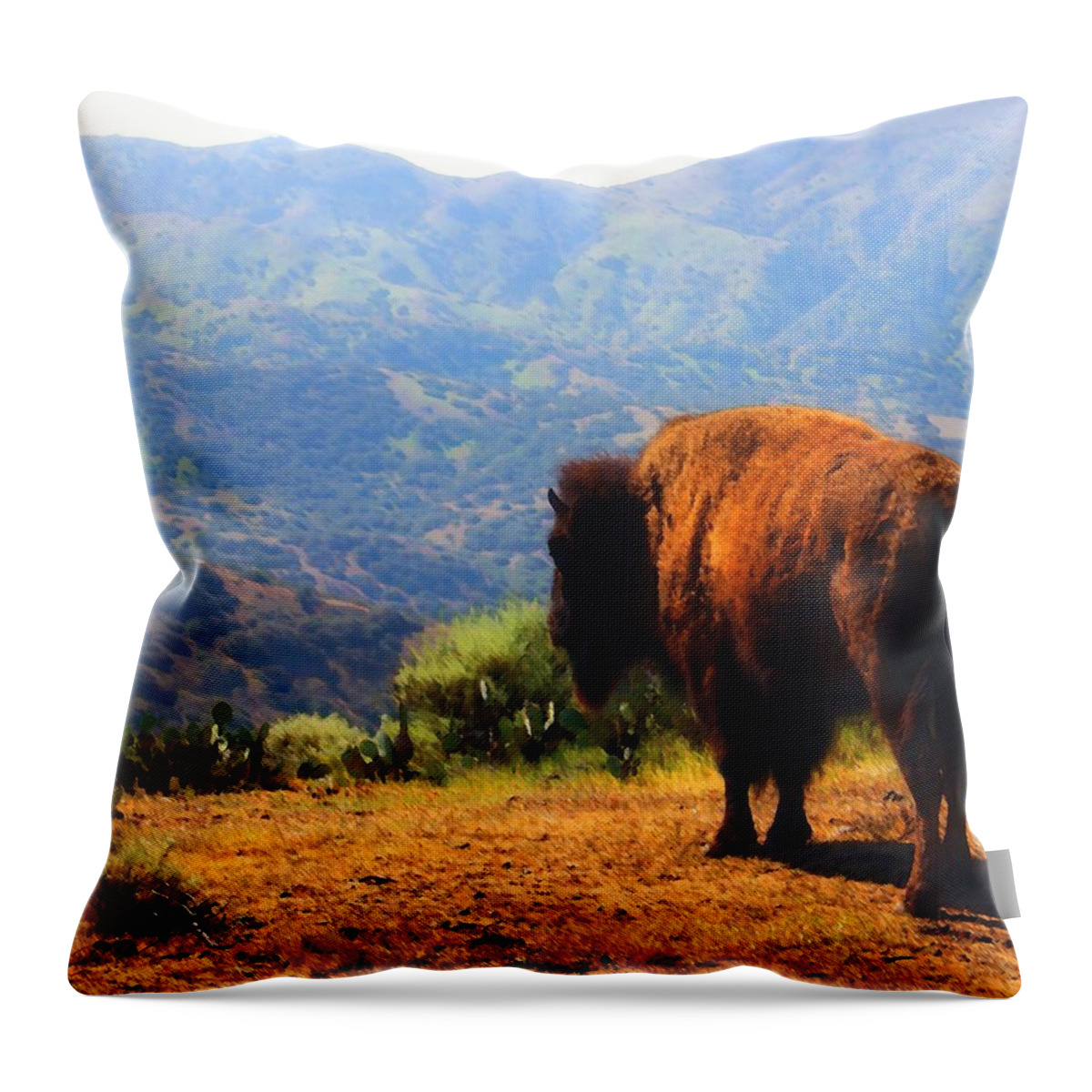 Bison Throw Pillow featuring the photograph The Vanishing Breed by Timothy Bulone