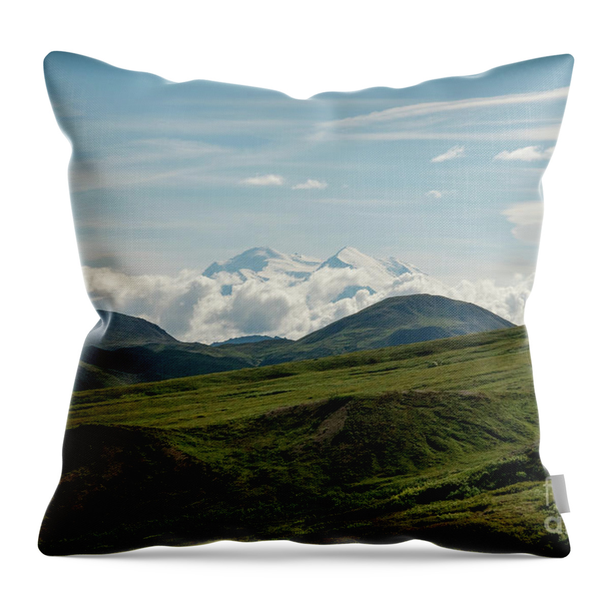 Alaska Throw Pillow featuring the photograph The View by Ed Taylor