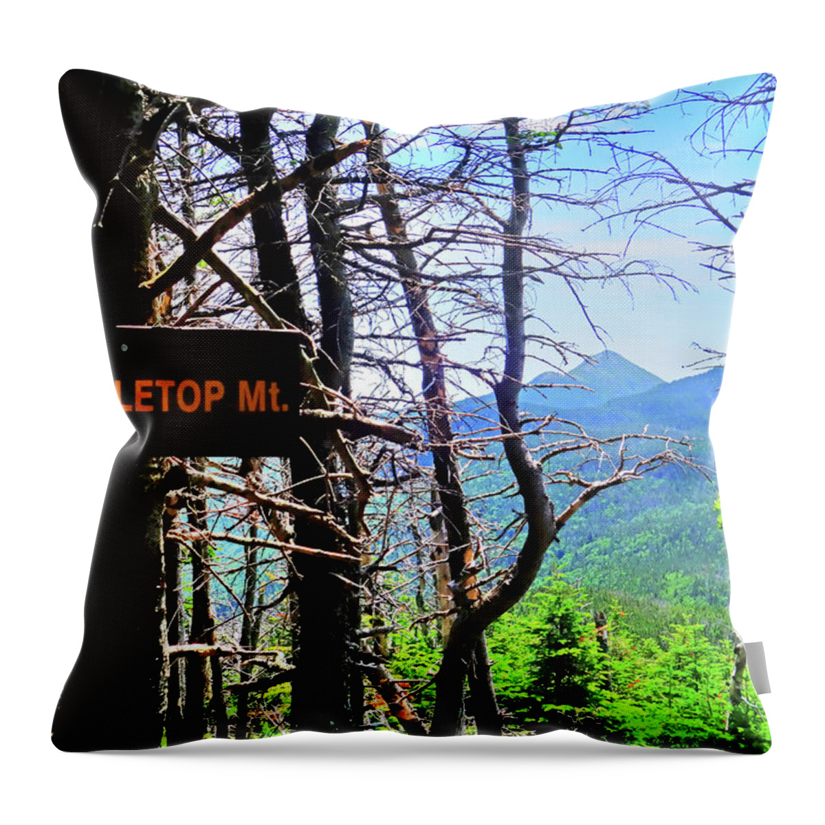 Tabletop Throw Pillow featuring the photograph The View from Tabletop Mountain Adirondacks Upstate New York Sign by Toby McGuire