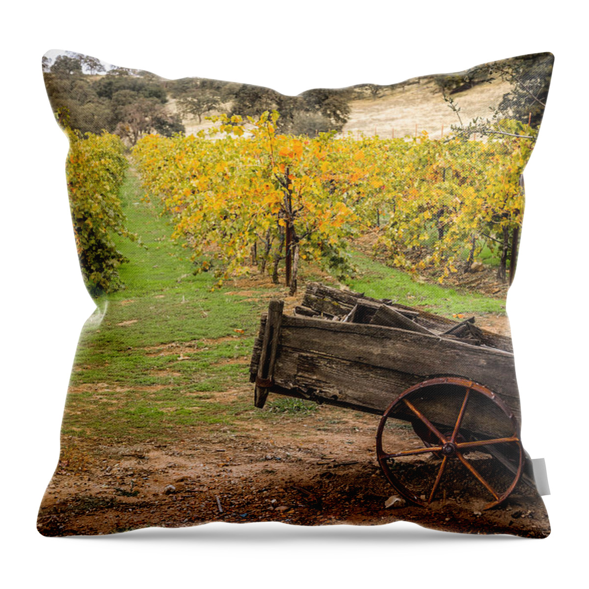 Wineries Throw Pillow featuring the photograph The vineyard by Janet Kopper