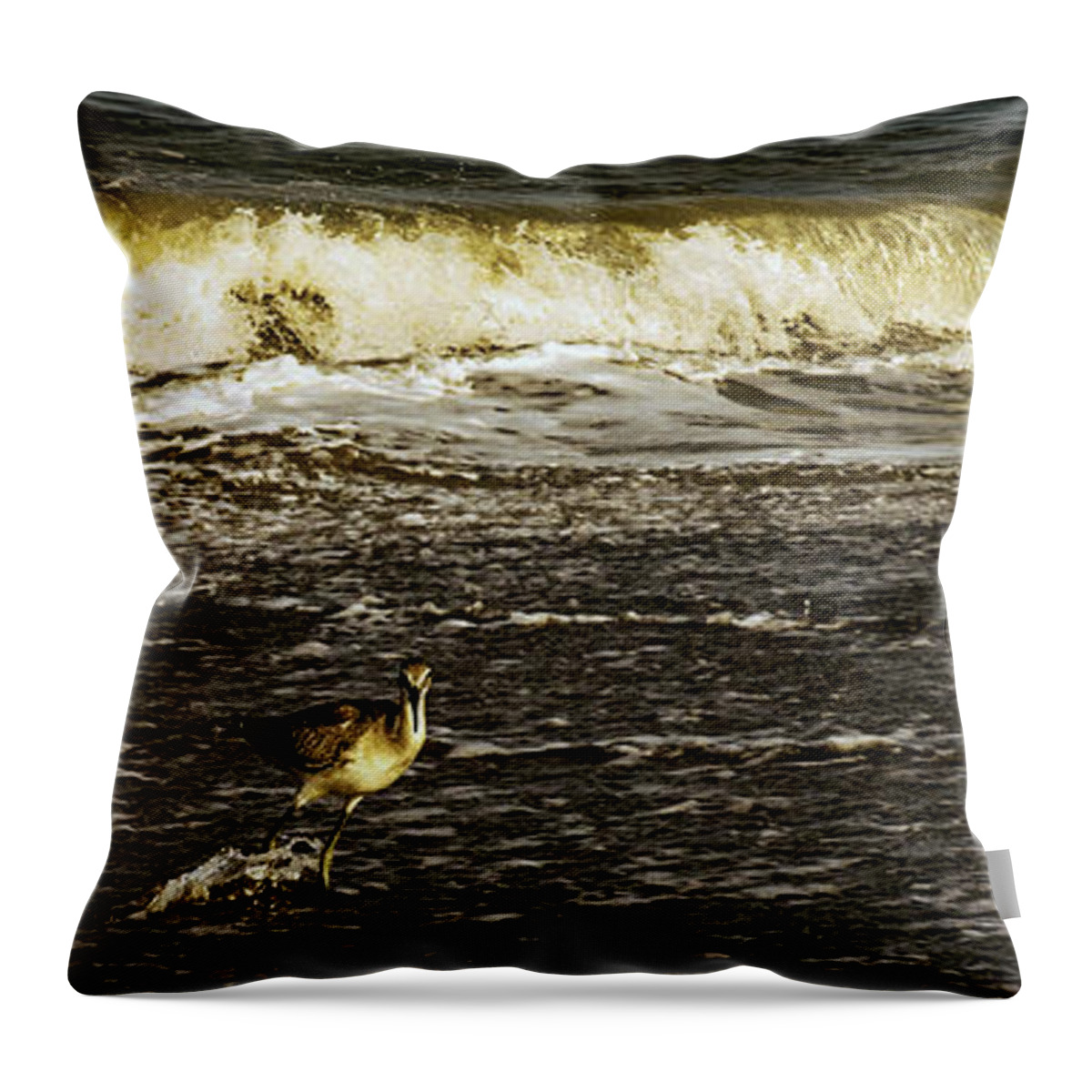 The Wading Willet Prints Throw Pillow featuring the photograph The Wading Willet by John Harding