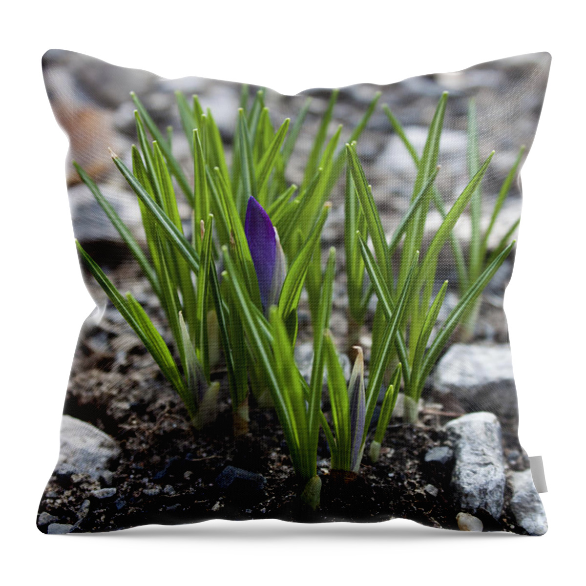 Flower Throw Pillow featuring the photograph The Wait by Jeff Severson