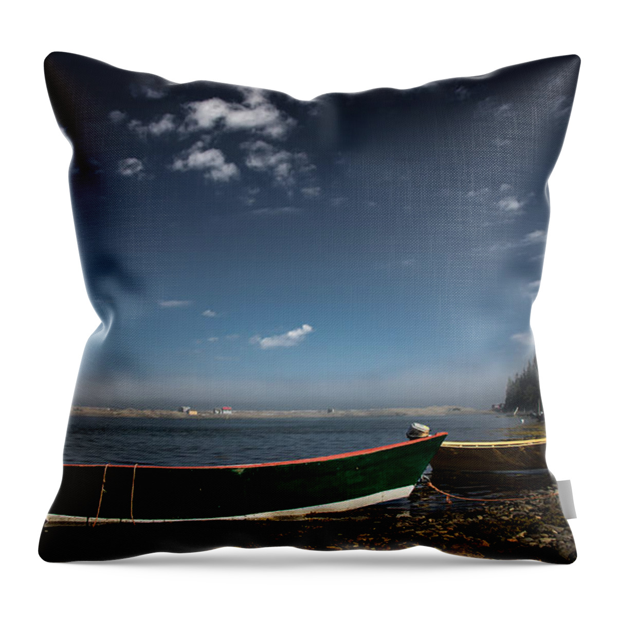Coastal Throw Pillow featuring the photograph The Wait by Peter Scott