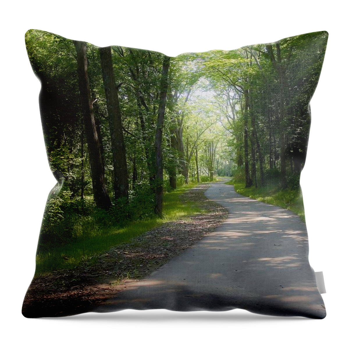 Forest Throw Pillow featuring the photograph The Walk by Lori Burke