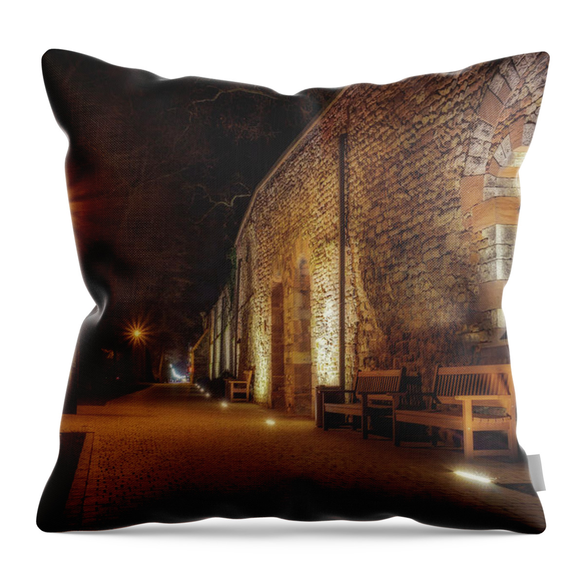 Worms Throw Pillow featuring the photograph The Wall by Marc Braner