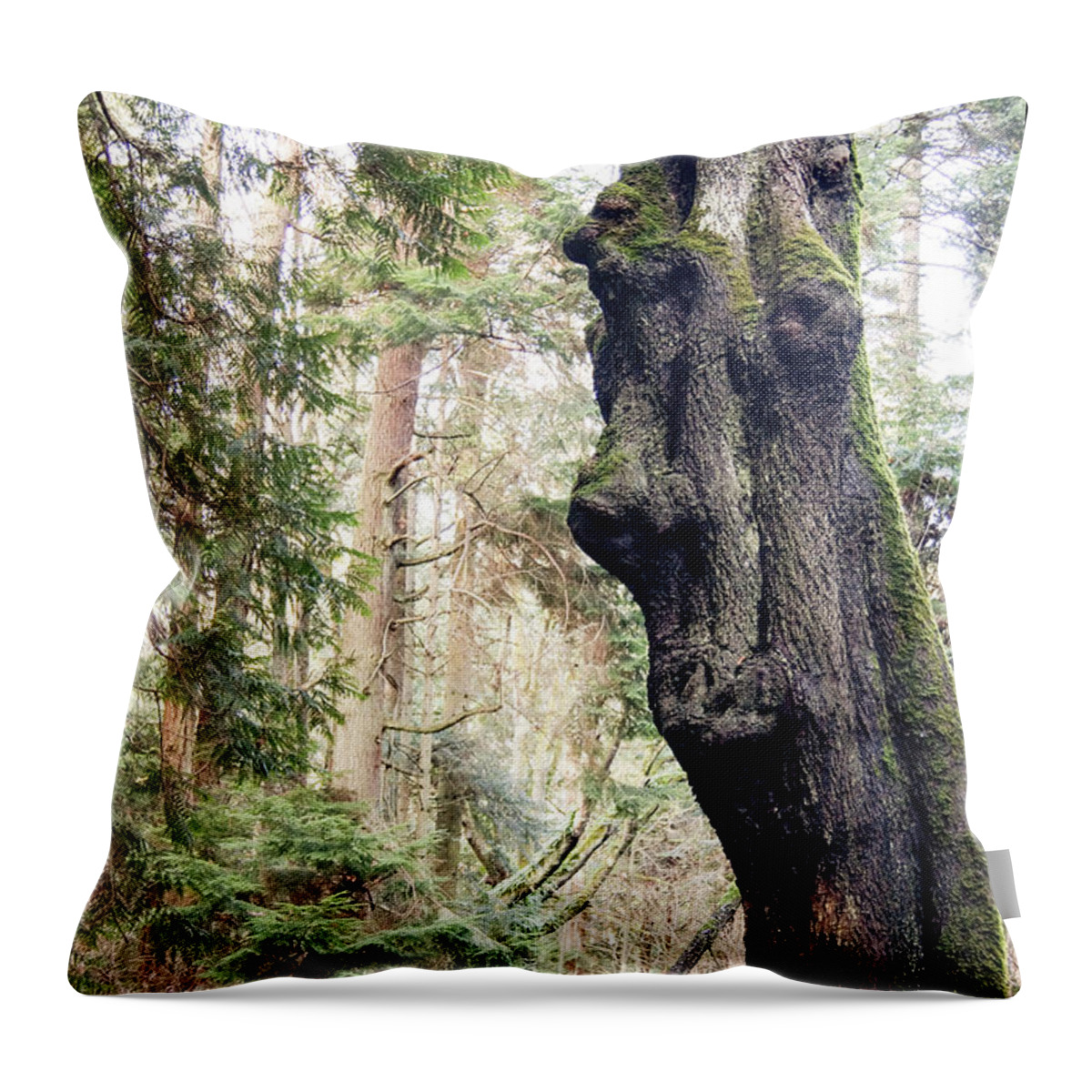 Adventures Throw Pillow featuring the photograph The Watcher by Tim Dussault