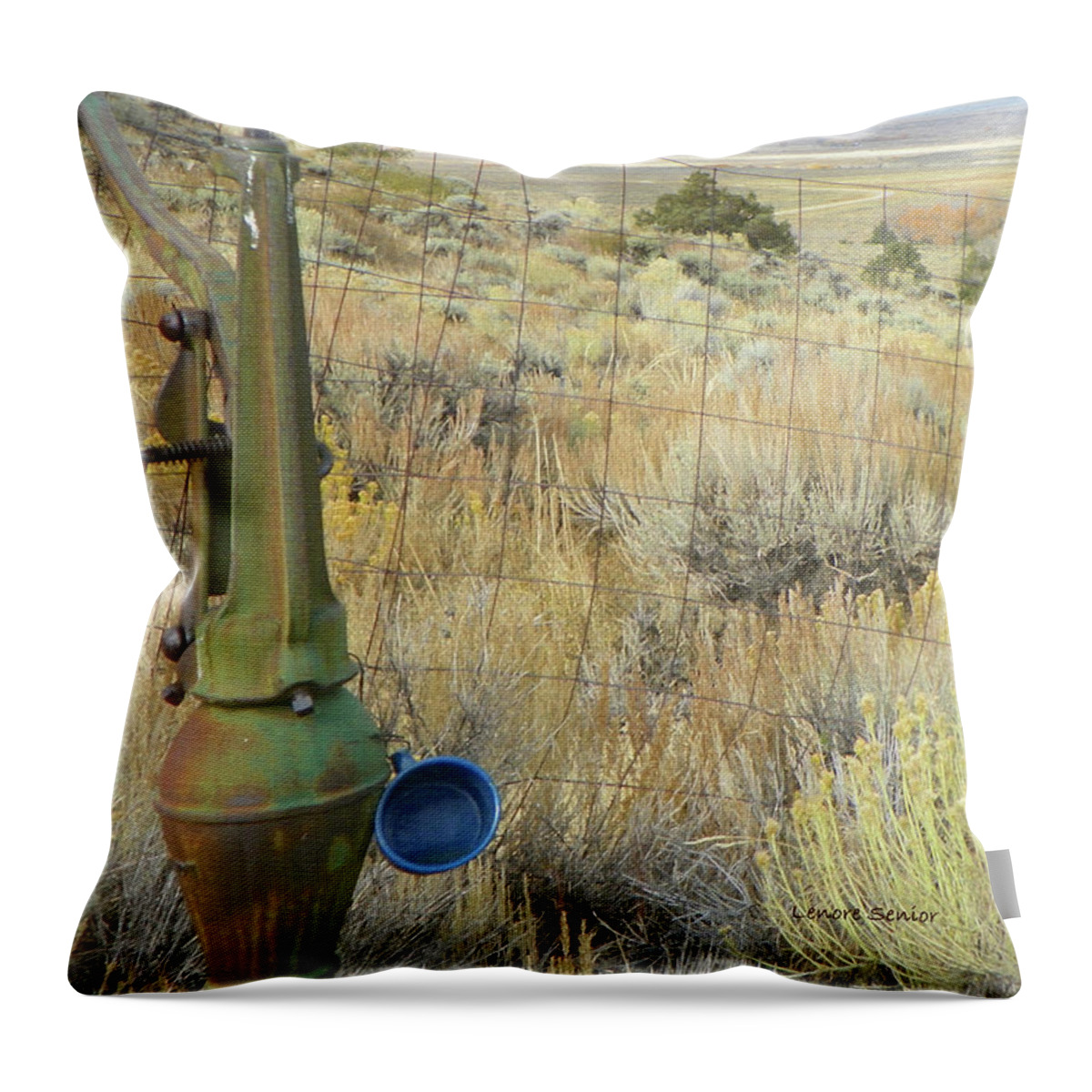 Expressive Throw Pillow featuring the photograph The Water Pump by Lenore Senior