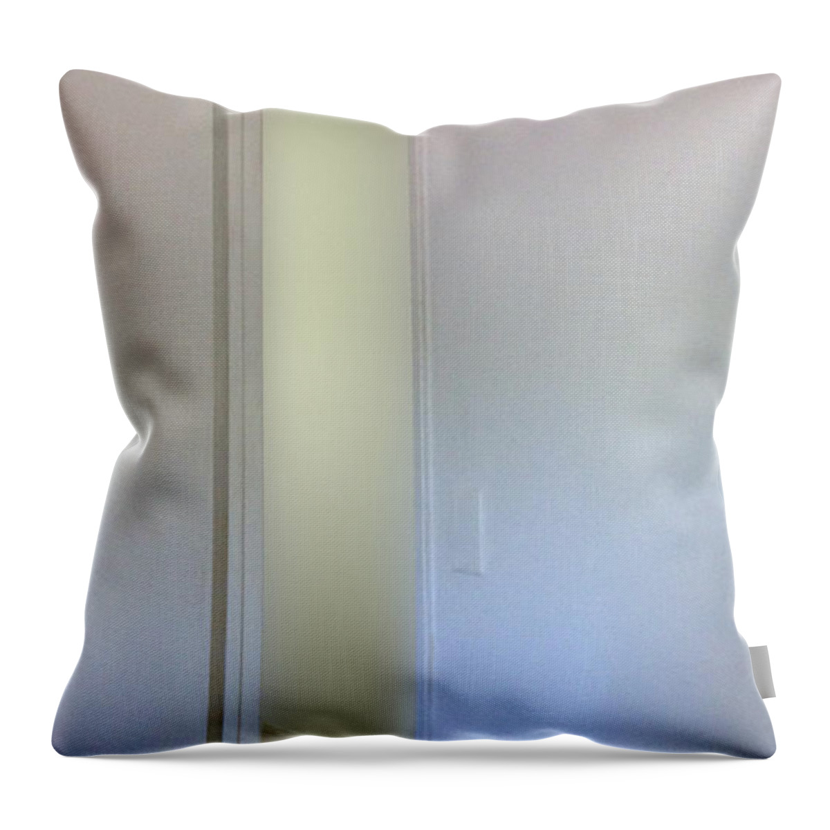Door Throw Pillow featuring the photograph The Way In by Stan Magnan