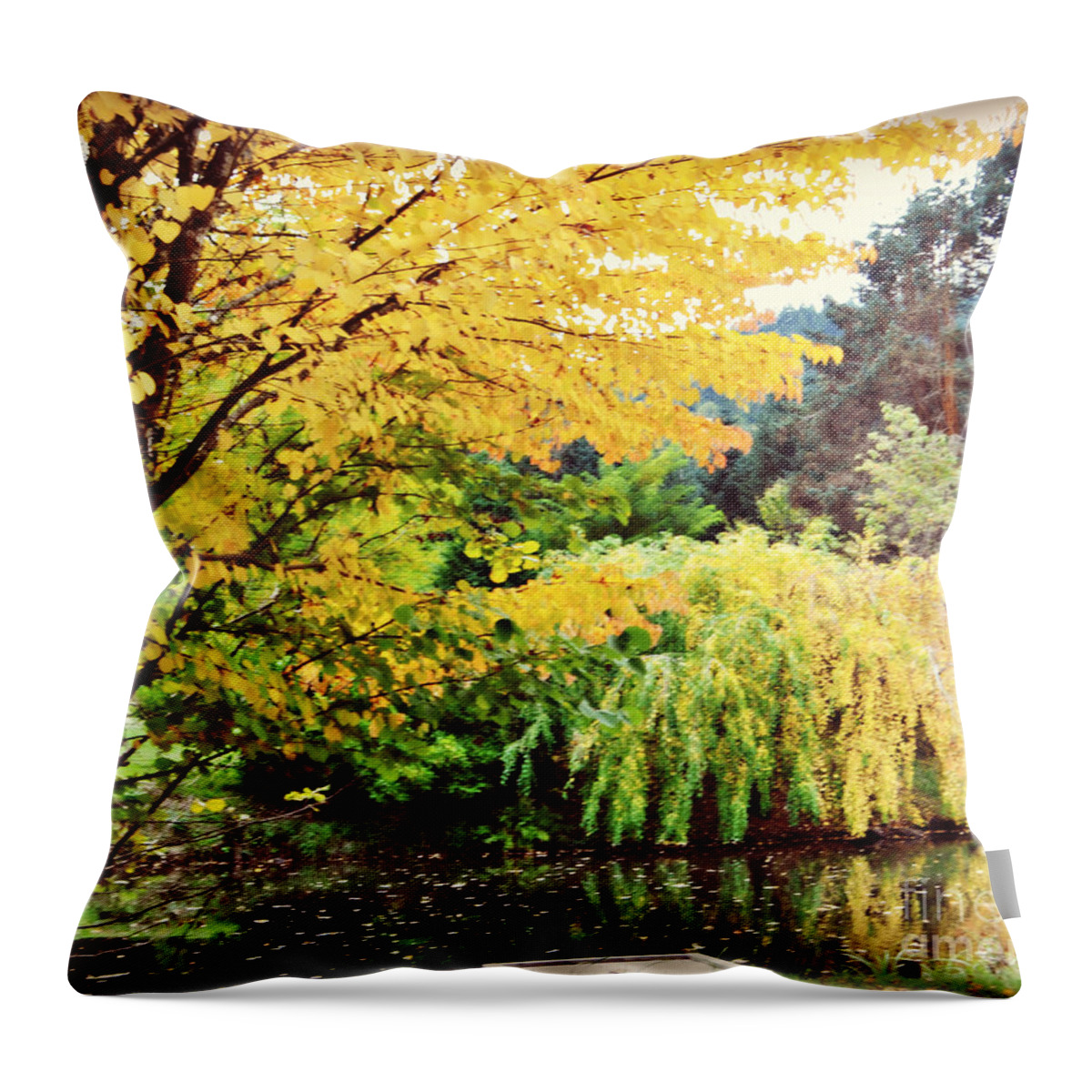 Pond Throw Pillow featuring the photograph The Wayfarer Pond by Mindy Bench
