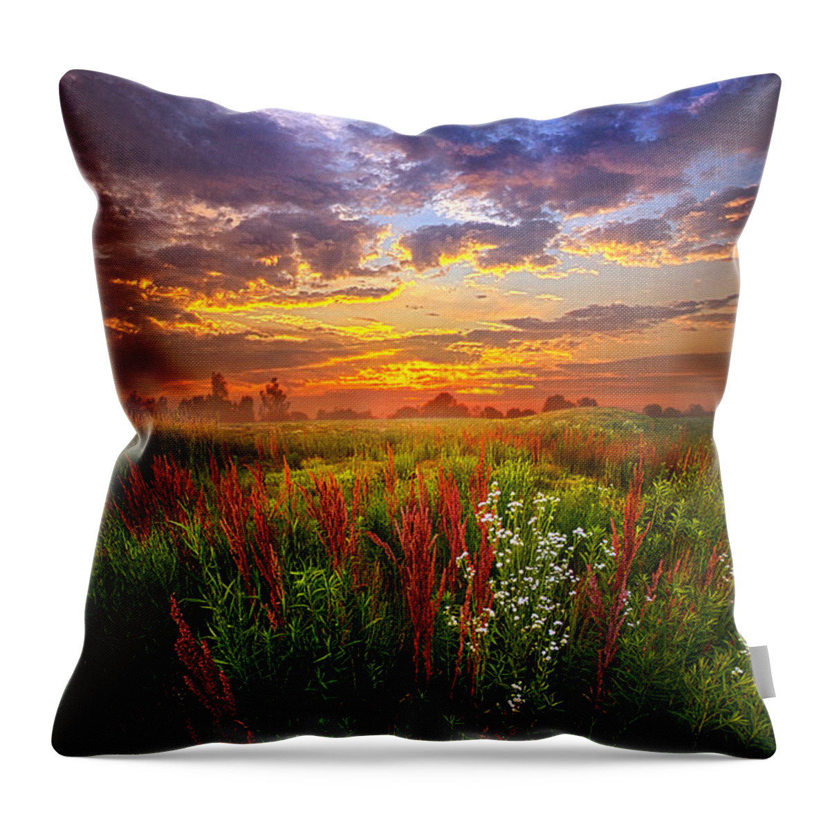 Travel Throw Pillow featuring the photograph The Whispered Voice Within by Phil Koch