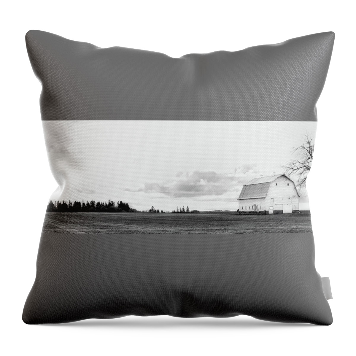 Barn Throw Pillow featuring the photograph The White Barn by Rebecca Cozart