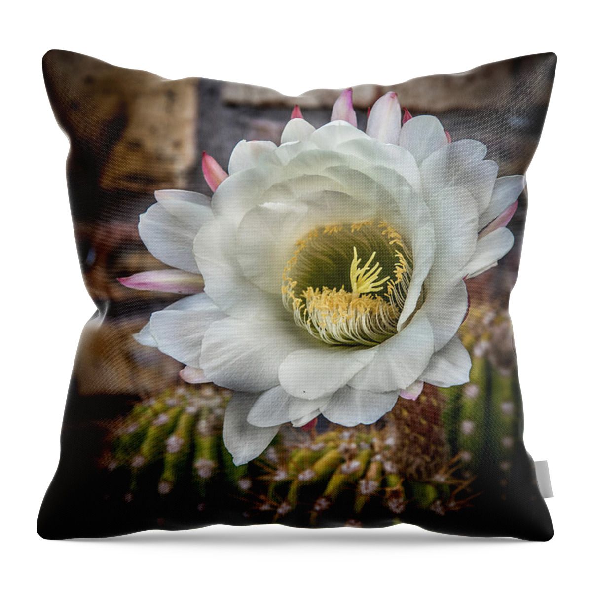 Argentine Giant Throw Pillow featuring the photograph The White Beauty by Robert Bales