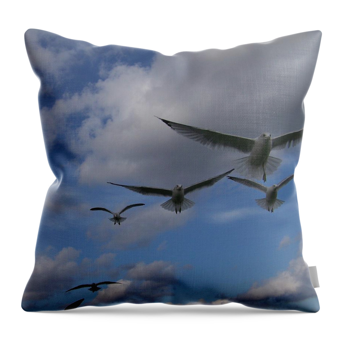 Gulls Throw Pillow featuring the photograph The Whole Squadron by Jackie Mueller-Jones