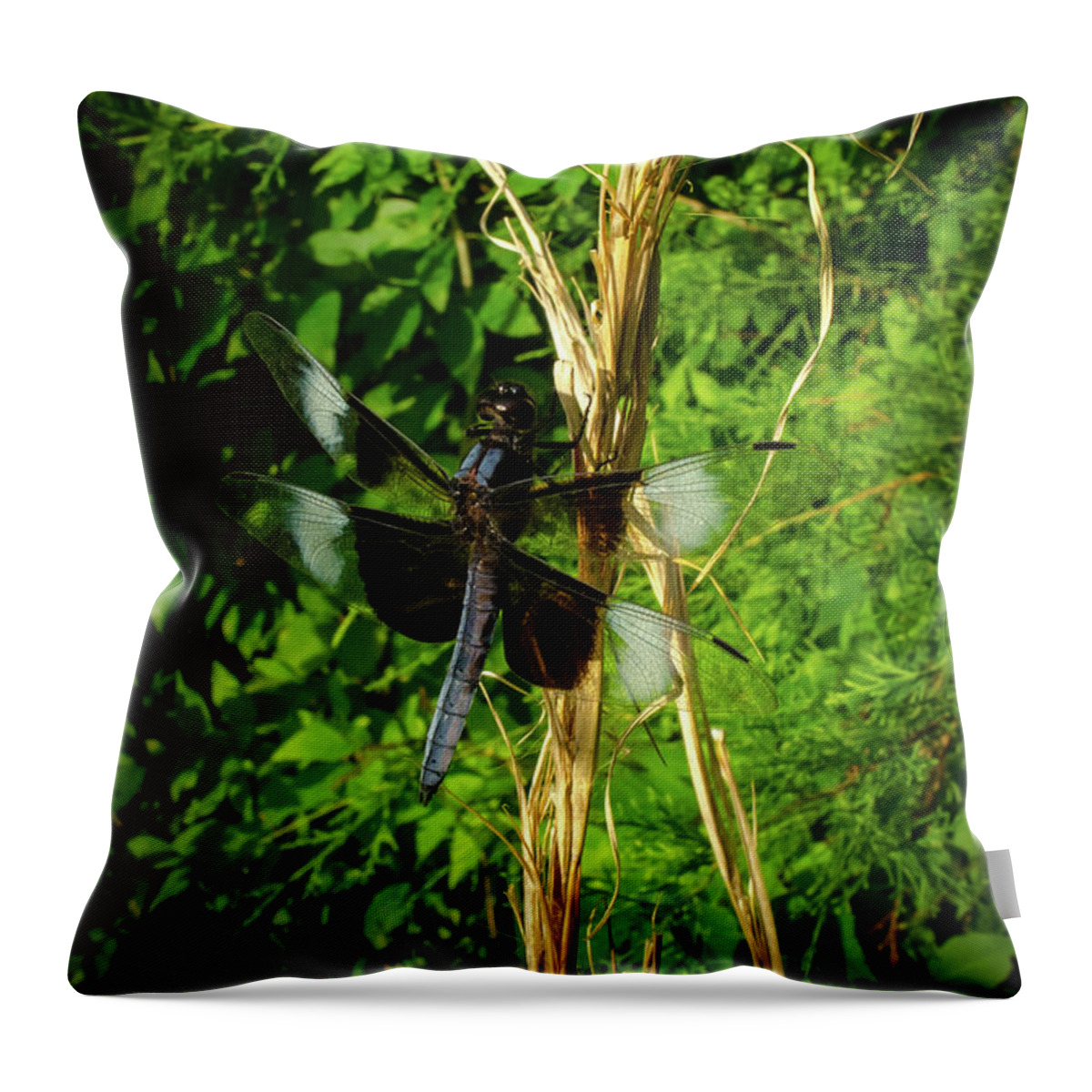 Nature Throw Pillow featuring the photograph The Widow Skimmer by Jeff Phillippi