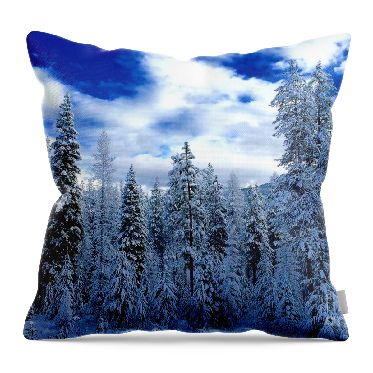 Pines Throw Pillow featuring the painting The Winter Blues by Jennifer Lake