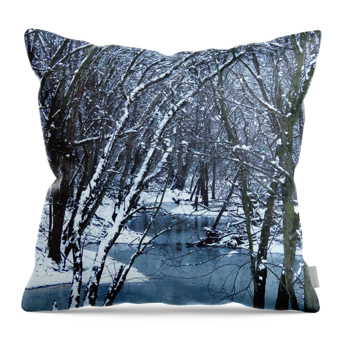 Stream Throw Pillow featuring the photograph The Winter Stream by Lori Frisch