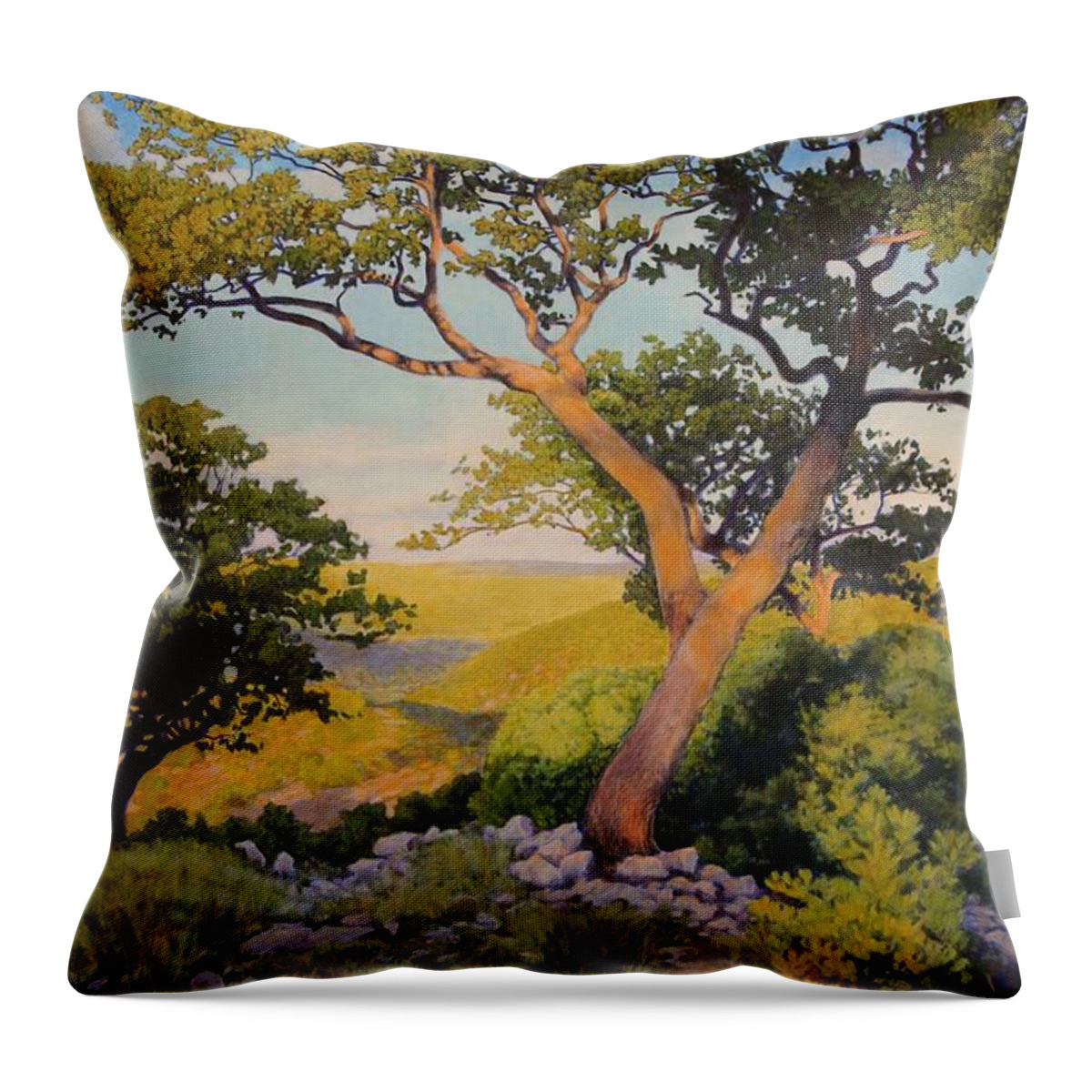 Hill Throw Pillow featuring the painting The Witches on The Hill by Andrew Danielsen