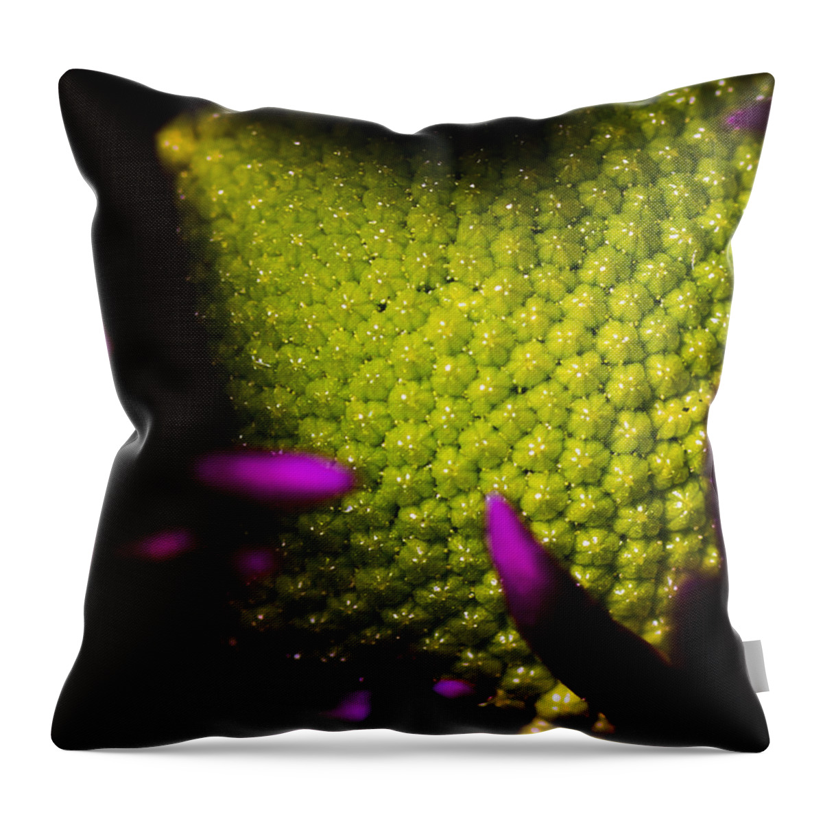 Abstract Throw Pillow featuring the photograph The World Within by Robert McKay Jones