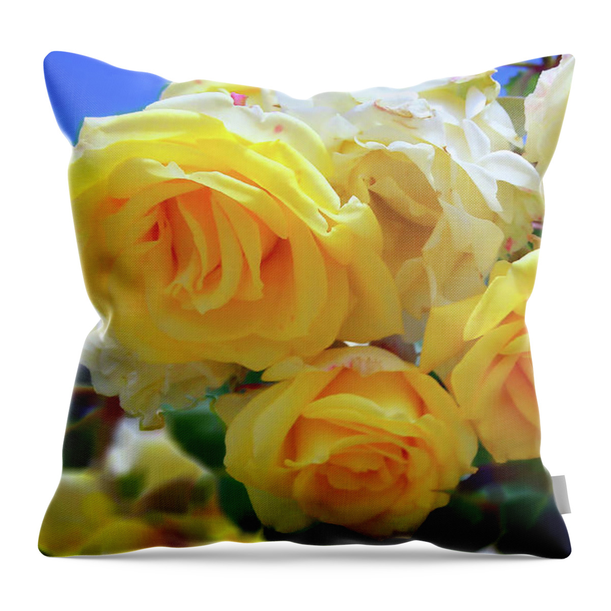 Roses Throw Pillow featuring the photograph The Yellow Splendor by Jasna Dragun
